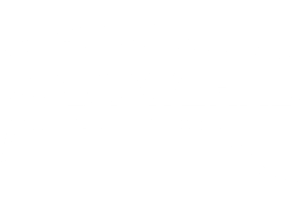 BodywerksCitizenLogoWeb